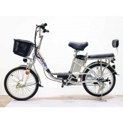 Электровелосипед GreenCamel Trunk-20 (R20 350W 48V 15Ah) Alum